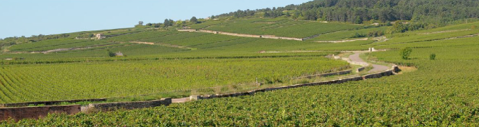 主圖(圖片說明請修改)