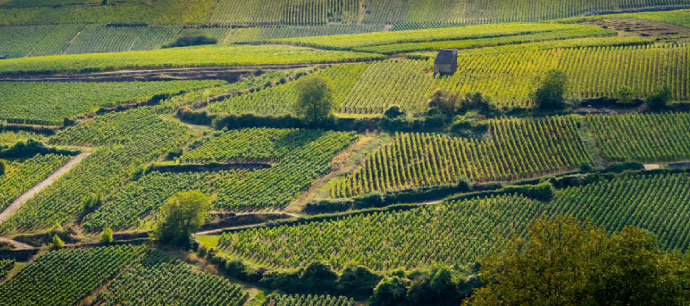 Bourgogne