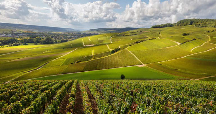 Bourgogne