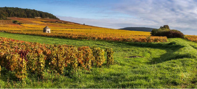 Bourgogne