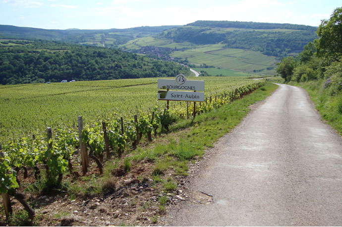 Domaine Hubert Lamy