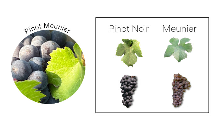 主圖(圖片說明請修改)