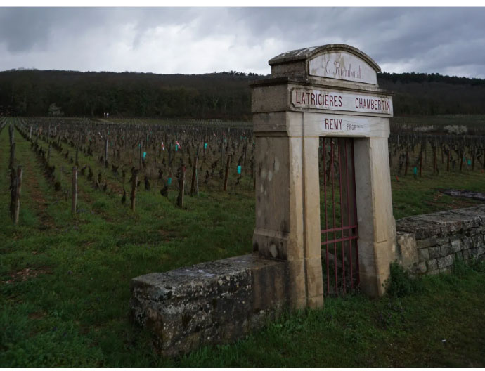 Domaine Louis Rémy|酒莊直出！完美熟成布根地老年份醇釀！ - LMDT
