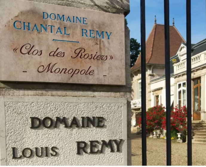 Domaine Louis Remy 1983~2004 - LMDT 天地人酒窖