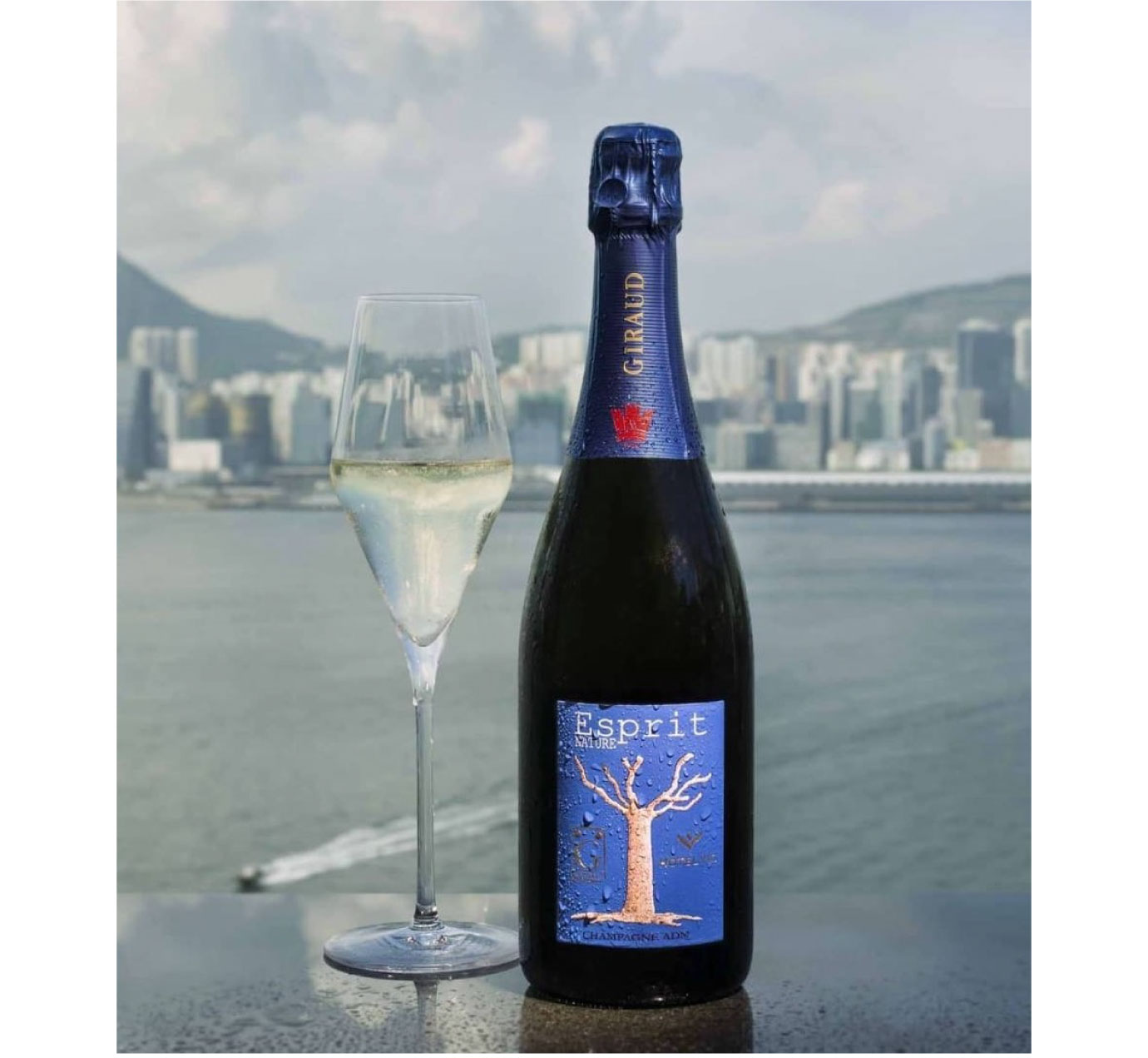 Esprit Henri Giraud NV Nature エスプリ G Champagne ナチュール