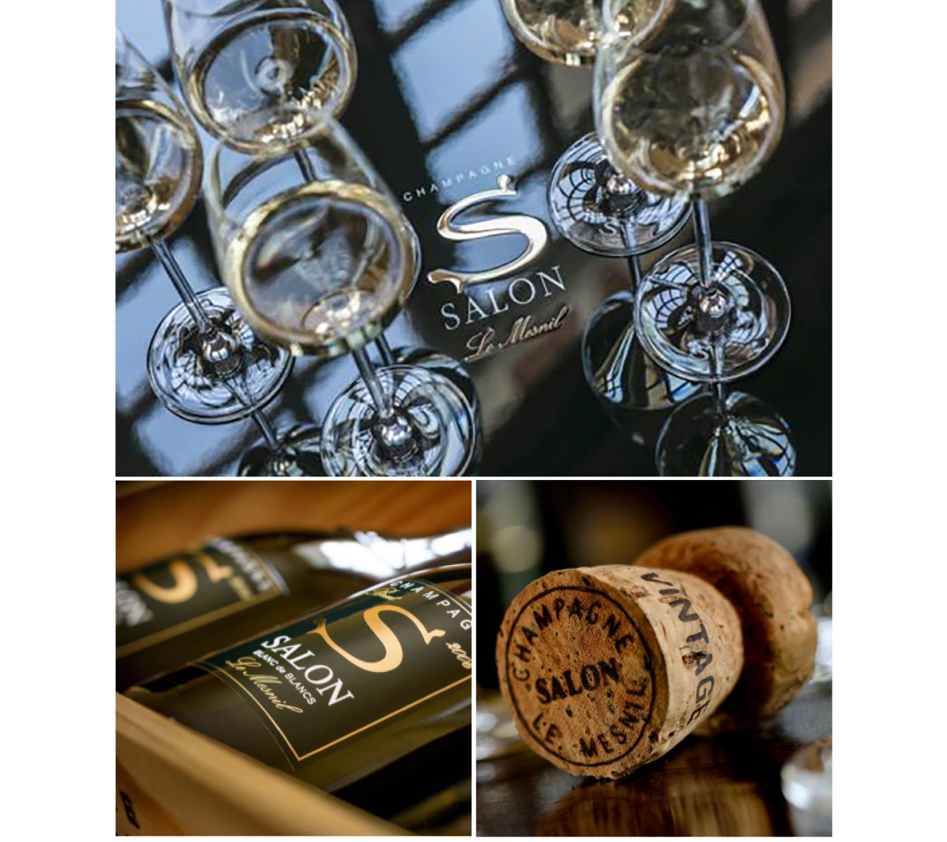Salon的花園：古老年份的華麗饗宴1999 Salon Cuvee SLe MesnilBlanc de
