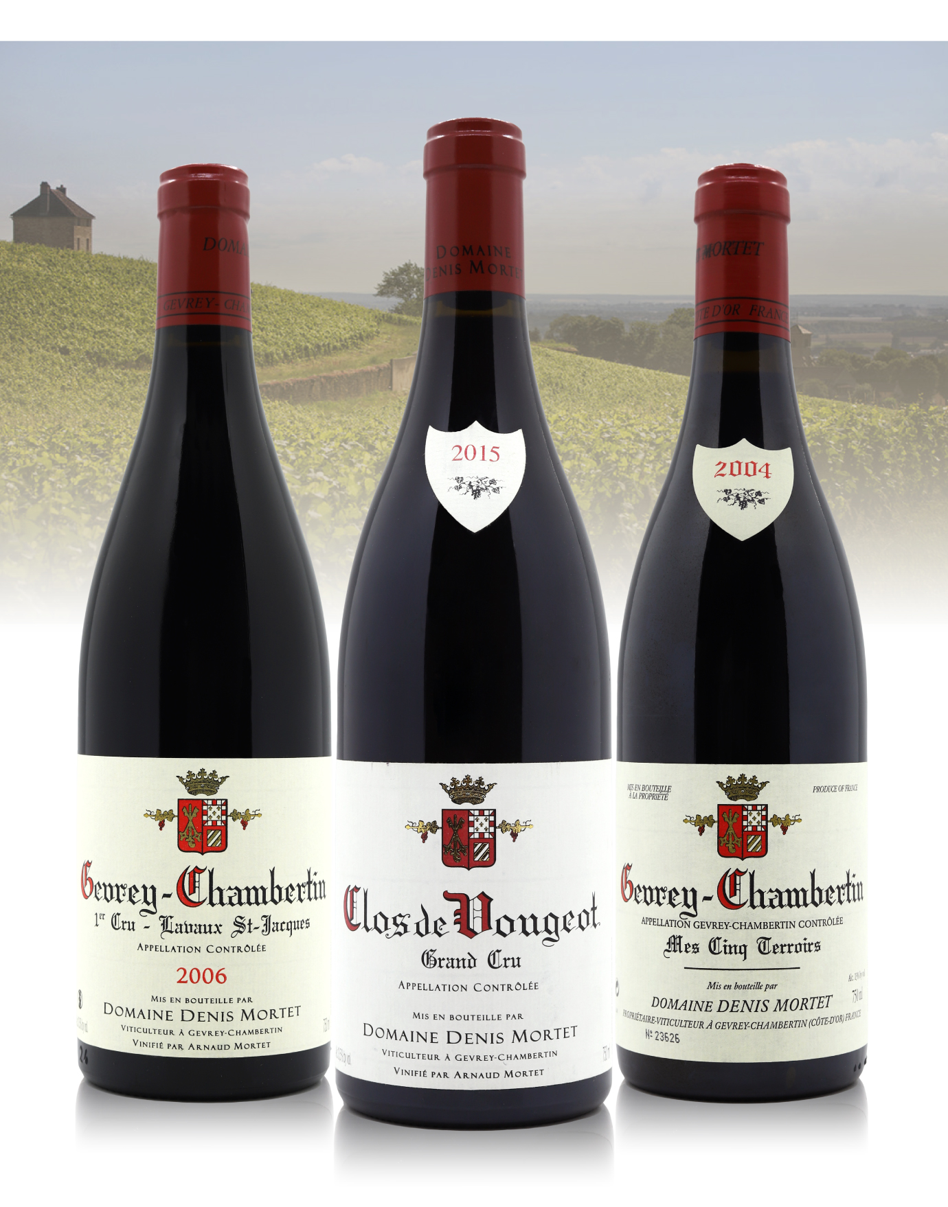 1995 ドニ モルテ ジュヴレ シャンベルタン オー・ヴェレ