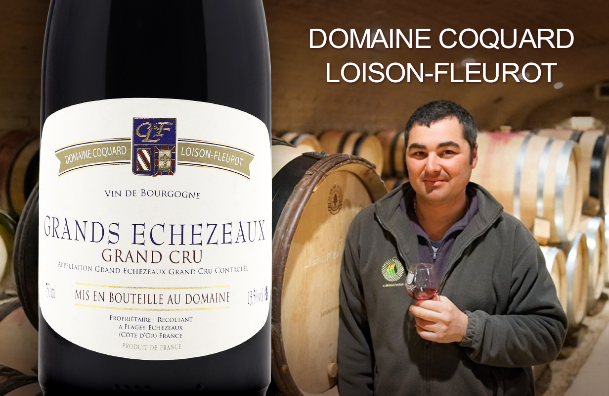 主權回歸的風土慶典見證沉睡巨人的華麗轉身Domaine Coquard-Loison-Fleurot - LMDT 天地人酒窖