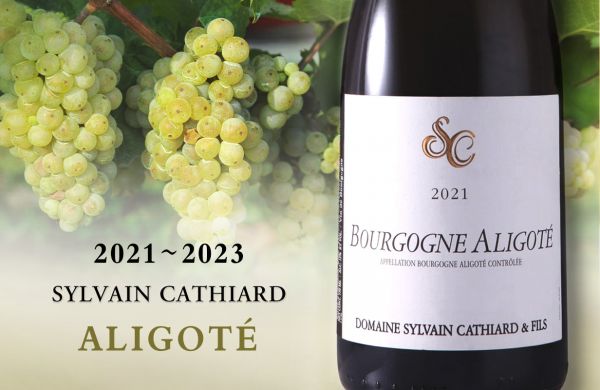 從紅酒名家，走進Aligoté極簡之美Domaine Sylvain CathiardBourgogne Aligoté