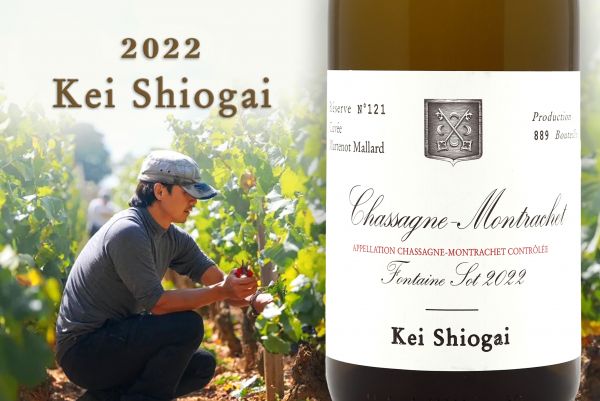 不靠名門光環！日本職人憑實力征服勃根地Kei Shiogai Chassagne-Montrachet Fontaine Sot Blanc