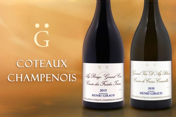 香檳區的下一個明星， 會沒有泡泡嗎？ Coteaux Champenois
