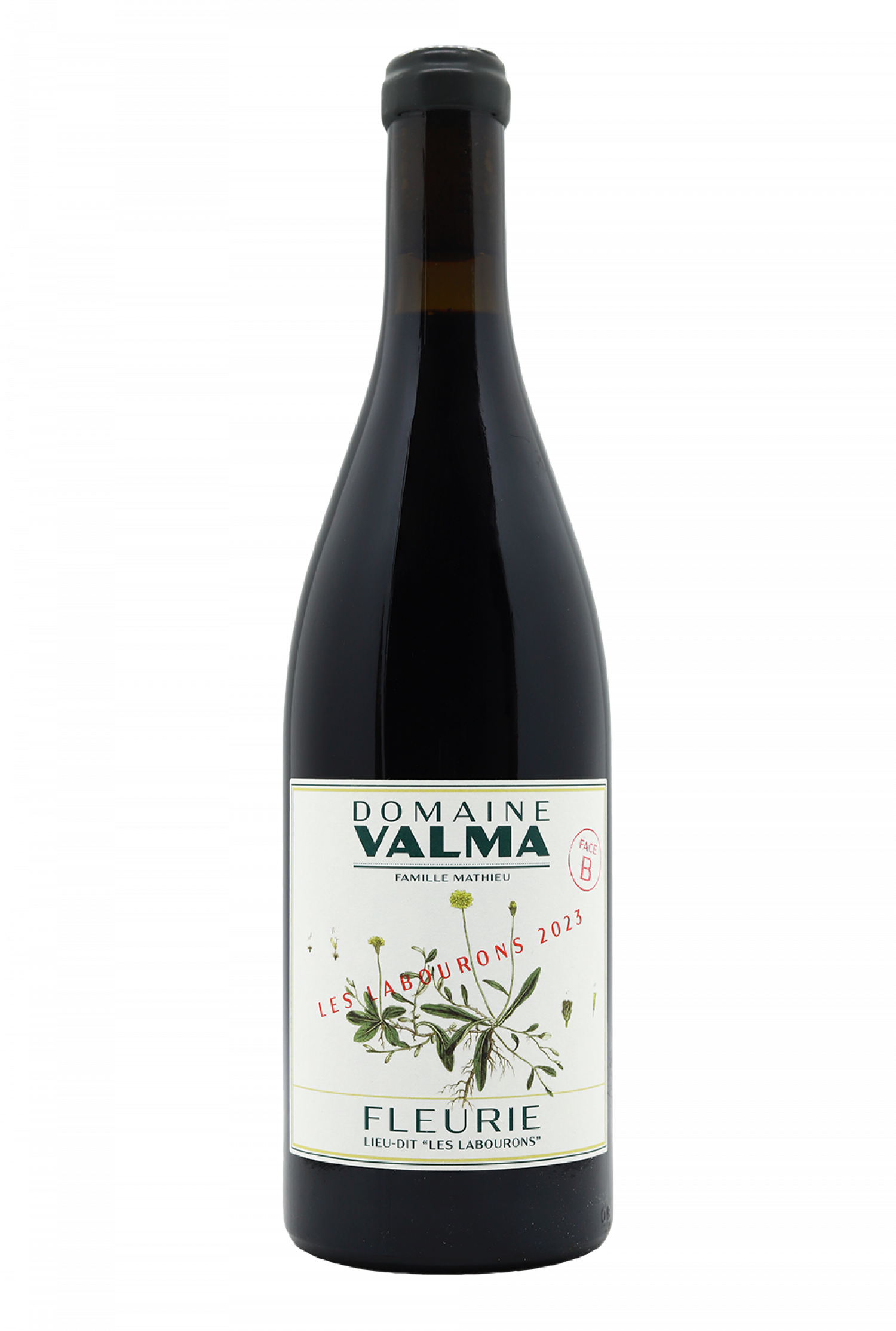 2023 Domaine Valma Fleurie Les Labourons Face B Rouge