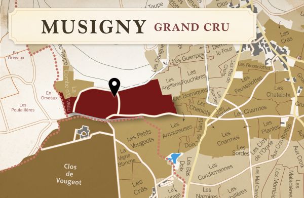 天鵝絨質地！堪稱典範的黑皮諾佳釀Musigny Grand Cru