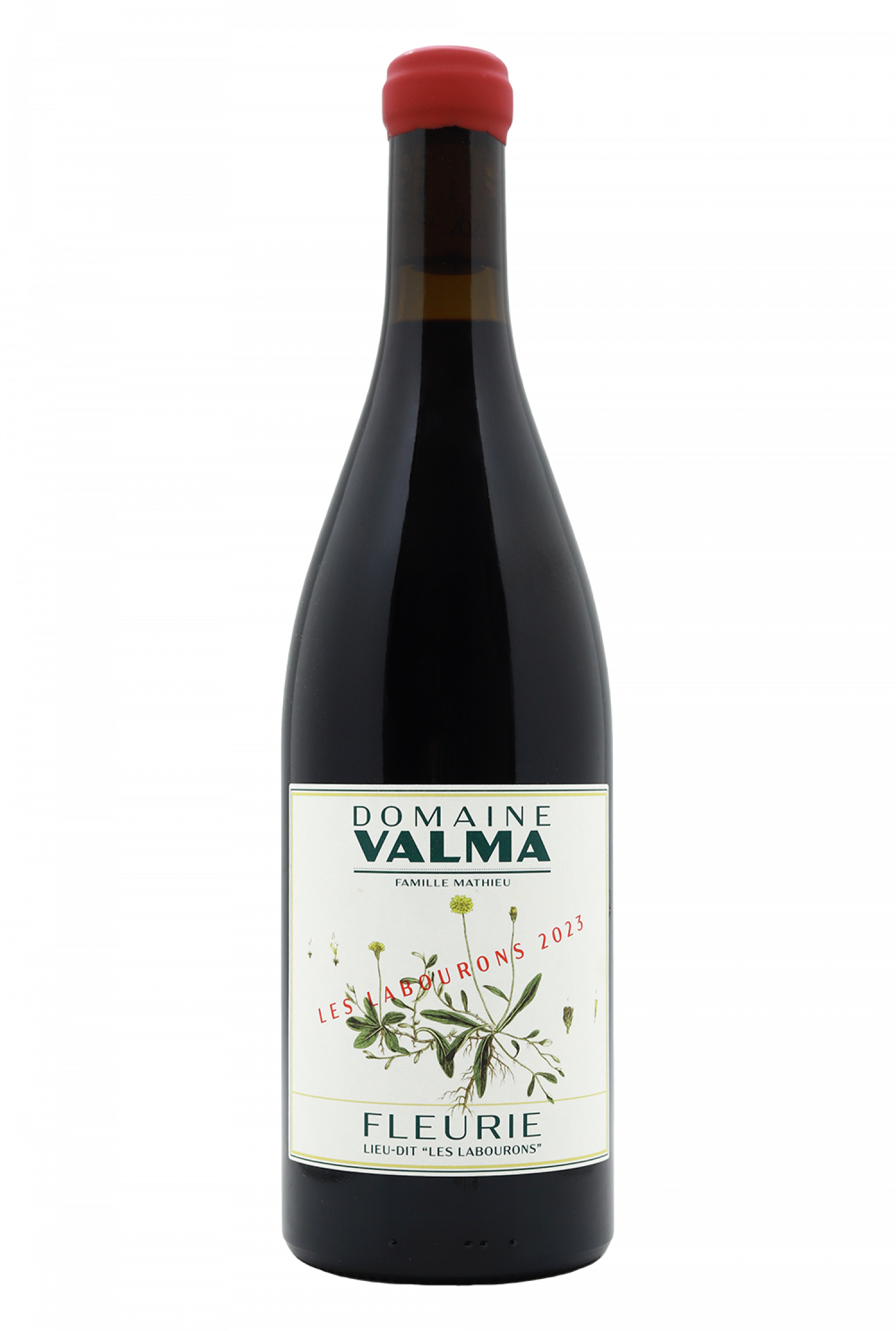 2023 Domaine Valma Fleurie Les Labourons Rouge