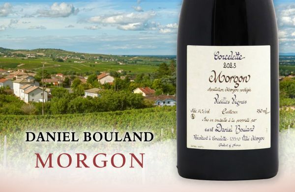 薄酒萊大酒？最真實、最具深度的代表作Daniel Bouland Morgon