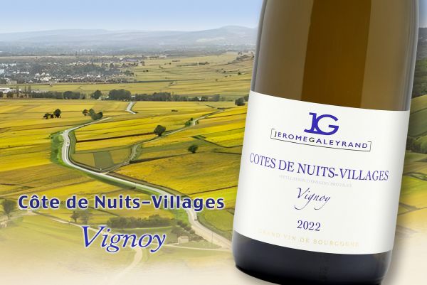 不只是村級酒！挖掘Vignoy的風土深度2022 Jérôme GaleyrandCôte de Nuits-Villages Vignoy Blanc