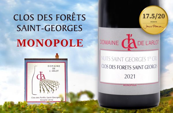 超越潮流的堅持！古典主義的葡萄酒審美Domaine de l′Arlot Clos des Forêts Saint-Georges Monopole
