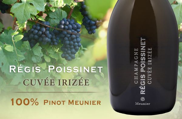 100%皮諾莫尼耶：彩虹化身的全新篇章 Régis Poissinet Cuvée Irizée Meunier