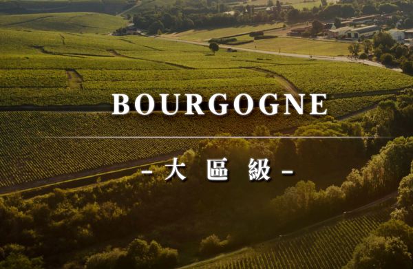 與生活共飲：深入勃根地日常的大區級酒款Bourgogne