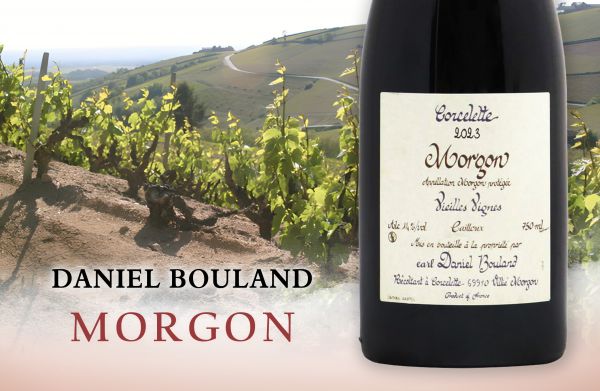 老藤才有的滋味！為時間而生的薄酒萊大酒2023 Daniel Bouland Morgon