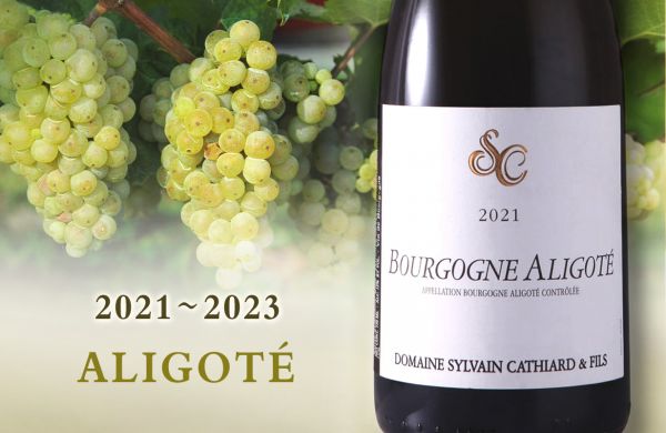 從紅酒名家，走進Aligoté極簡之美Domaine Sylvain CathiardBourgogne Aligoté
