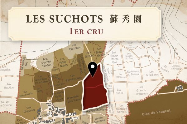 特級園遺珠！內行人不會錯過的一級園之寶Vosne-Romanée 1er Cru Les Suchots