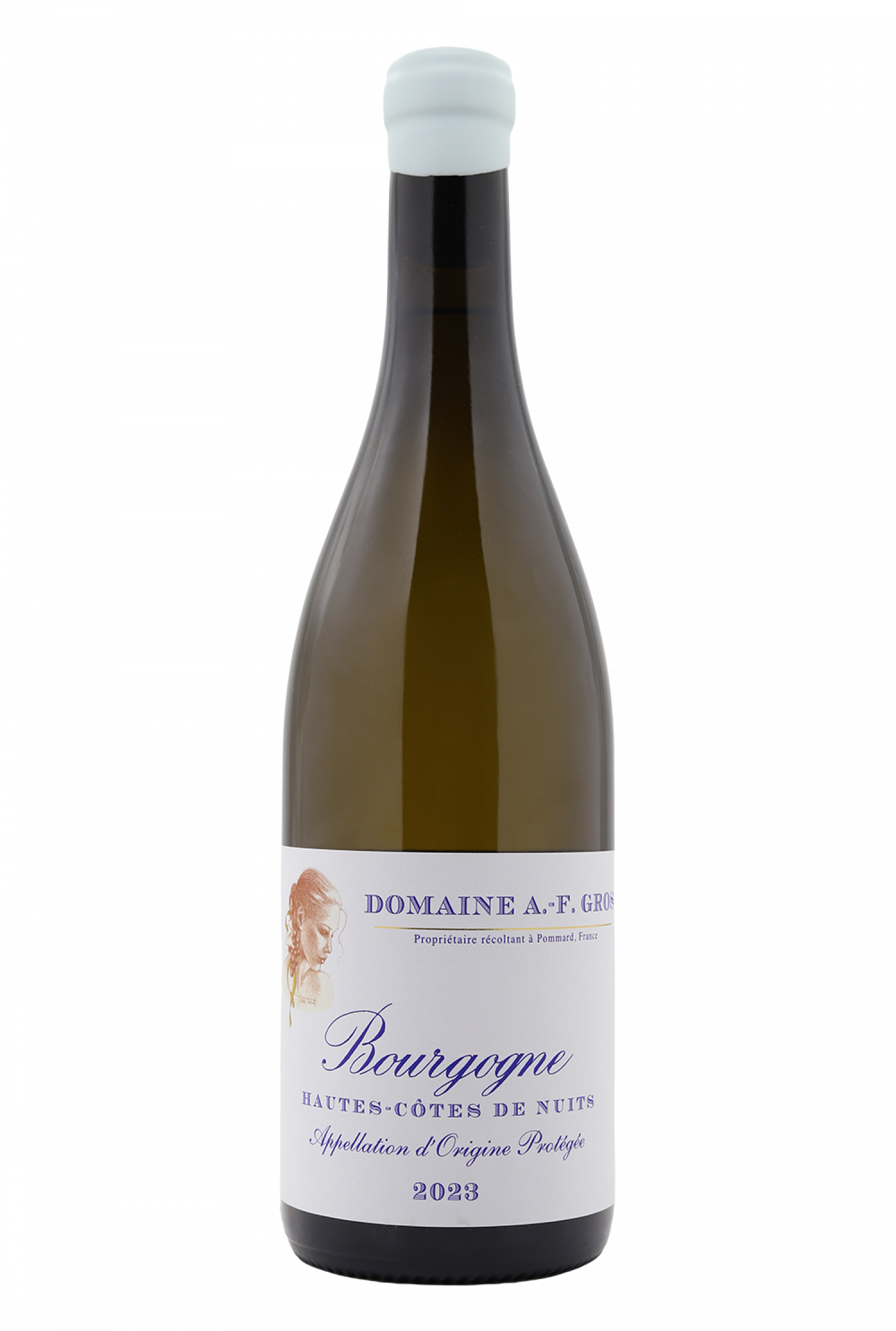 2023 Domaine A.-F. Gros Bourgogne Hautes-Cotes de Nuits Blanc