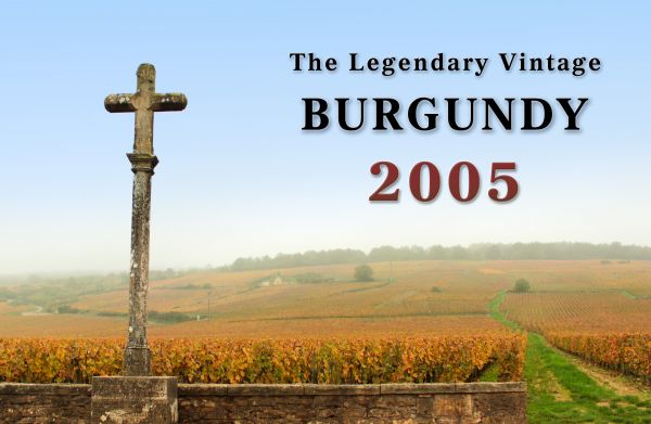 2005不朽之年：二十年等待只為一口驚豔The Legendary Vintage2005 Burgundy