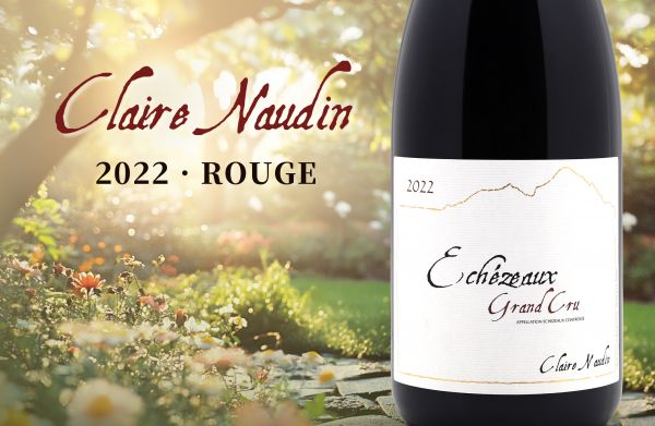 逆境淬鍊：2022年勃根地的華麗蛻變2022 Claire Naudin Rouge
