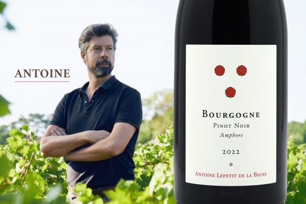 接續雙雞酒莊精髓！細品輕盈中蘊藏的深度Antoine Lepetit de la BigneBourgogne 2022／2023