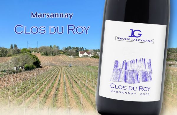 村級奇蹟綻放，華麗風味再掀驚艷！Jérôme GaleyrandMarsannay Clos du Roy