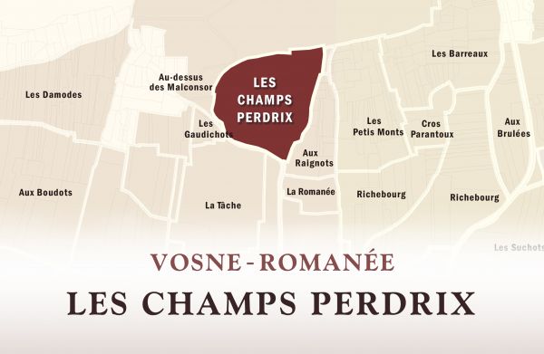 Vosne無凡酒！鷓鴣之田的靈魂所在Vosne-RomanéeLes Champs Perdrix