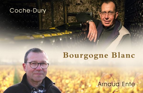 風土藝術家：勃根地大神們的大區白鑽石Bourgogne Blanc