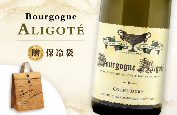 平凡中的不平凡！勃根地公認白酒神話2022 Coche-DuryBourgogne Aligoté
