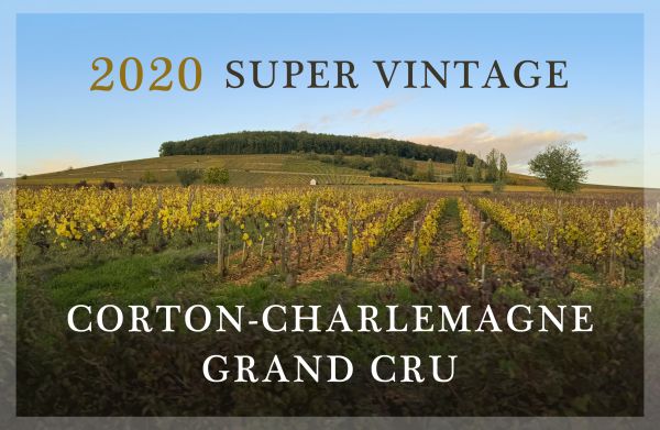 勃根地白酒超級年份！高登查理曼特級園精選2020 Super VintageCorton-Charlemagne Grand Cru