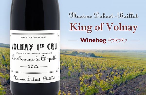 Volnay之王誕生！引領釀酒新浪潮Maxime Dubuet-Boillot / VolnayAwarded Top Ratings by Winehog