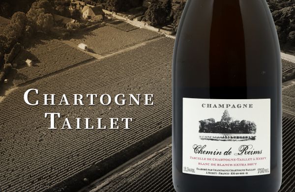 風土探索家引領潮流！細緻中帶著骨感輪廓Chartogne-Taillet