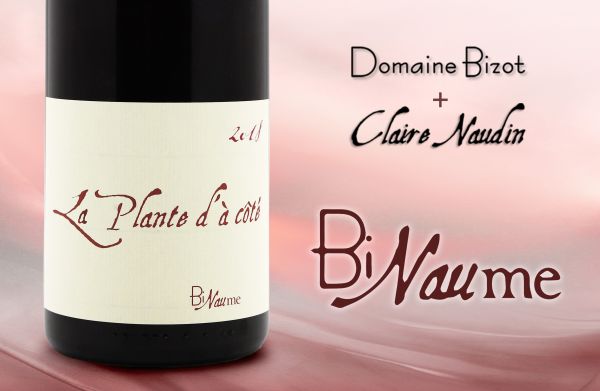 跳脫AOC框架：勃根地最強釀酒夫妻檔！BiNaume Le Gamay de l′Allie