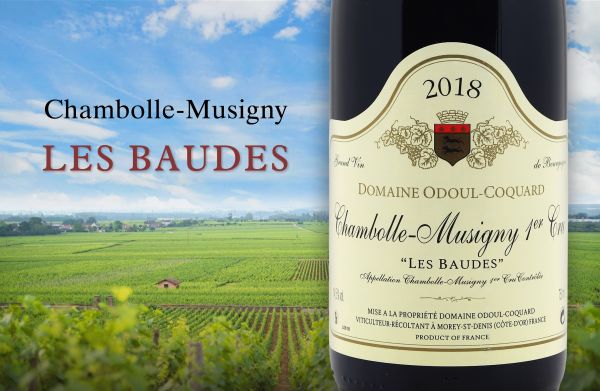絕無僅有！ 100美金有找的香波一級園 Chambolle-Musigny 1er Domaine Odoul Coquard