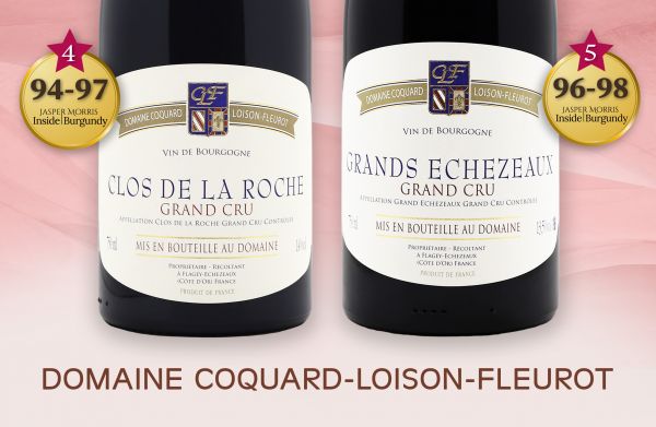 JMIB直逼滿分肯定！風土實力的全面綻放Domaine Coquard-Loison-Fleurot Grand Cru