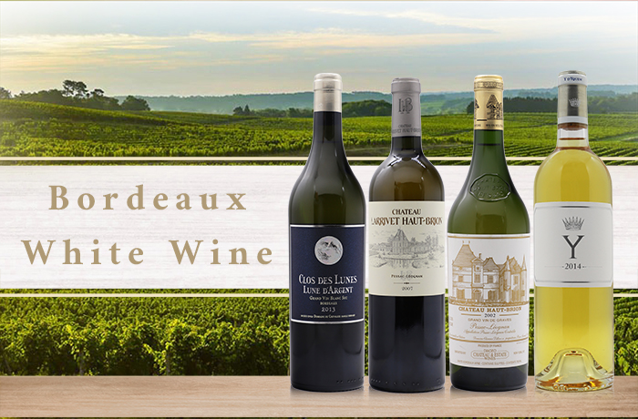 主圖(圖片說明請修改)