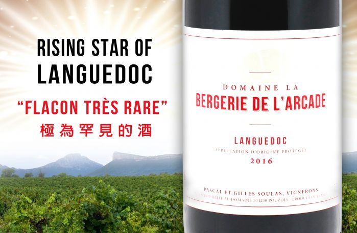 被低調關注的南法新星每一口都是獨特的感官之旅 !Domaine la Bergerie de l'ArcadeRising Star of Languedoc