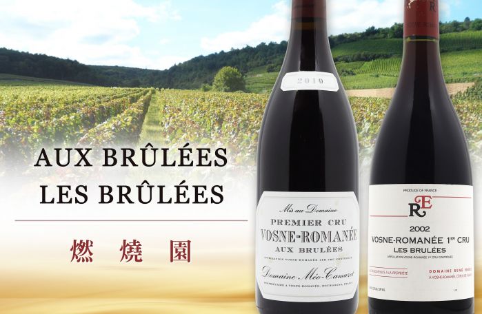陽光與微風的畫作：燃燒園上的金黃波浪Aux Brûlées & Les Brûlées