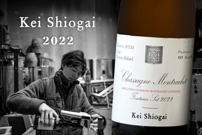 閃耀的釀酒之星！酒杯中的勃根地未來Kei Shiogai 2022